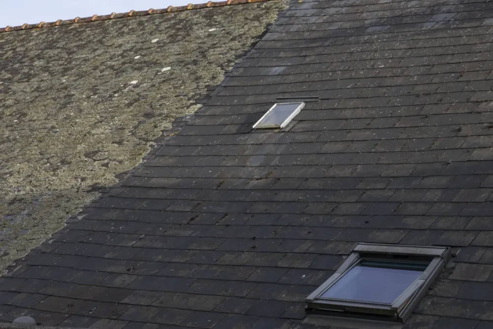 Démoussage de toiture à Teloché
